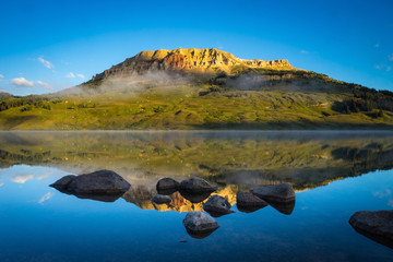 基因组dna提取的原理