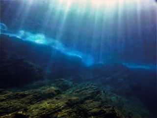 基因组dna提取的原理