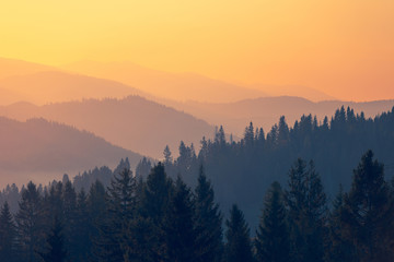 地球会如何灭亡？