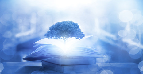 网贷想上岸,和父母坦白后不管我了怎么办-