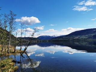 地球会如何灭亡？