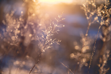 西安有几个地铁路线请帮忙