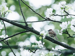 十大公认的最强记录仪