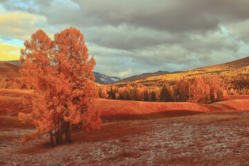 十大公认的最强记录仪