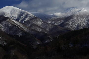网贷想上岸,和父母坦白后不管我了怎么办-
