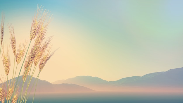 路由器拨号老是掉线怎么弄