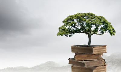 空间站在什么轨道上